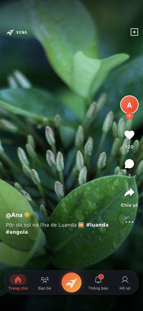 Giao diện app Vena